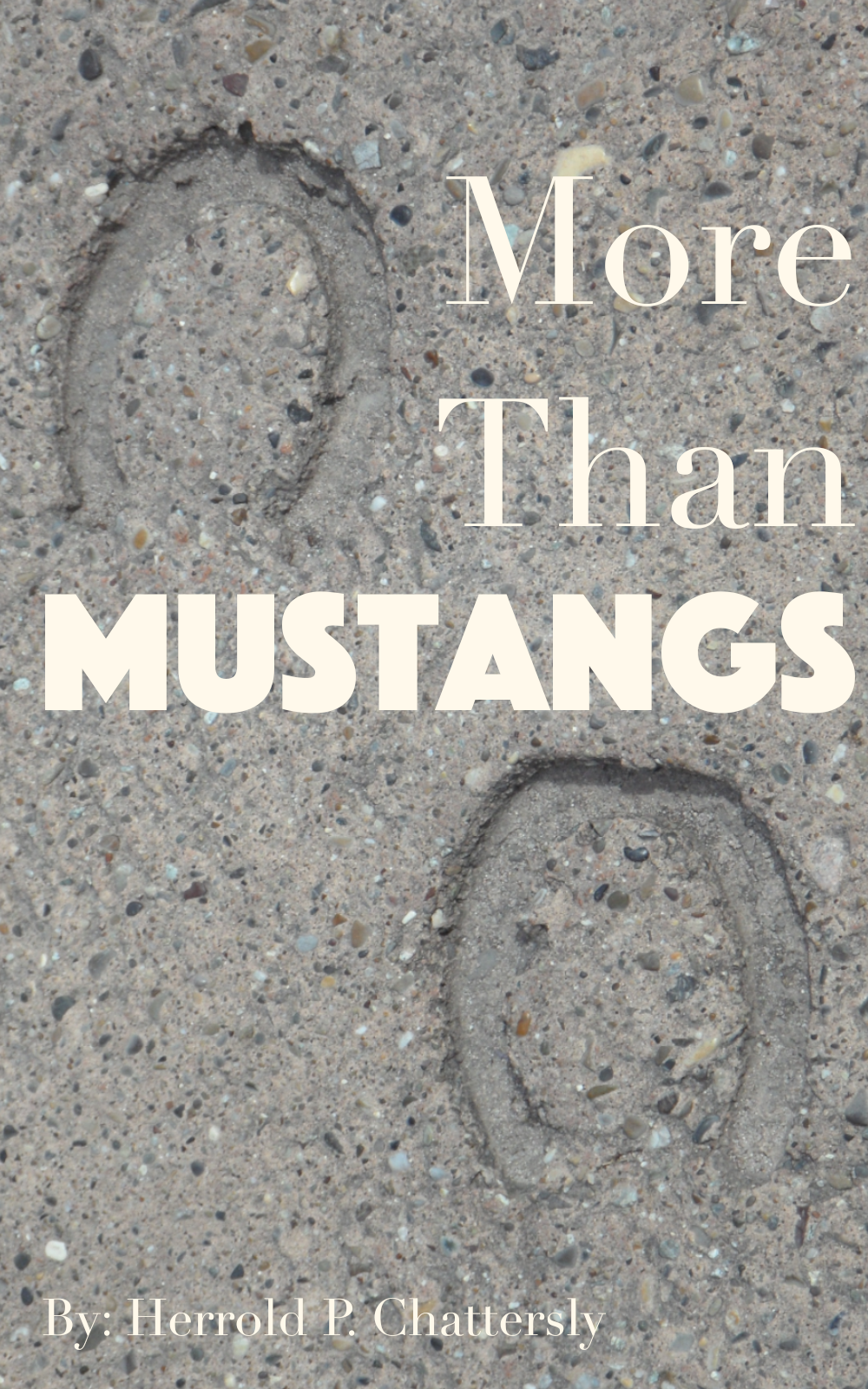 More Than Mustangs